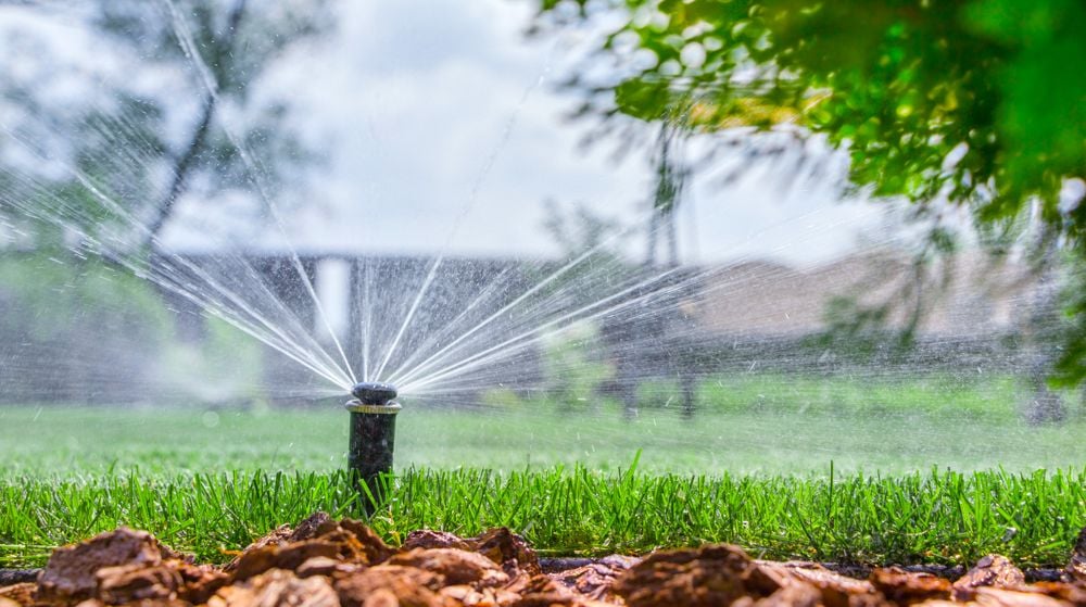 What You Need to Know About A Sprinkler System What You Need to Know About A Sprinkler System